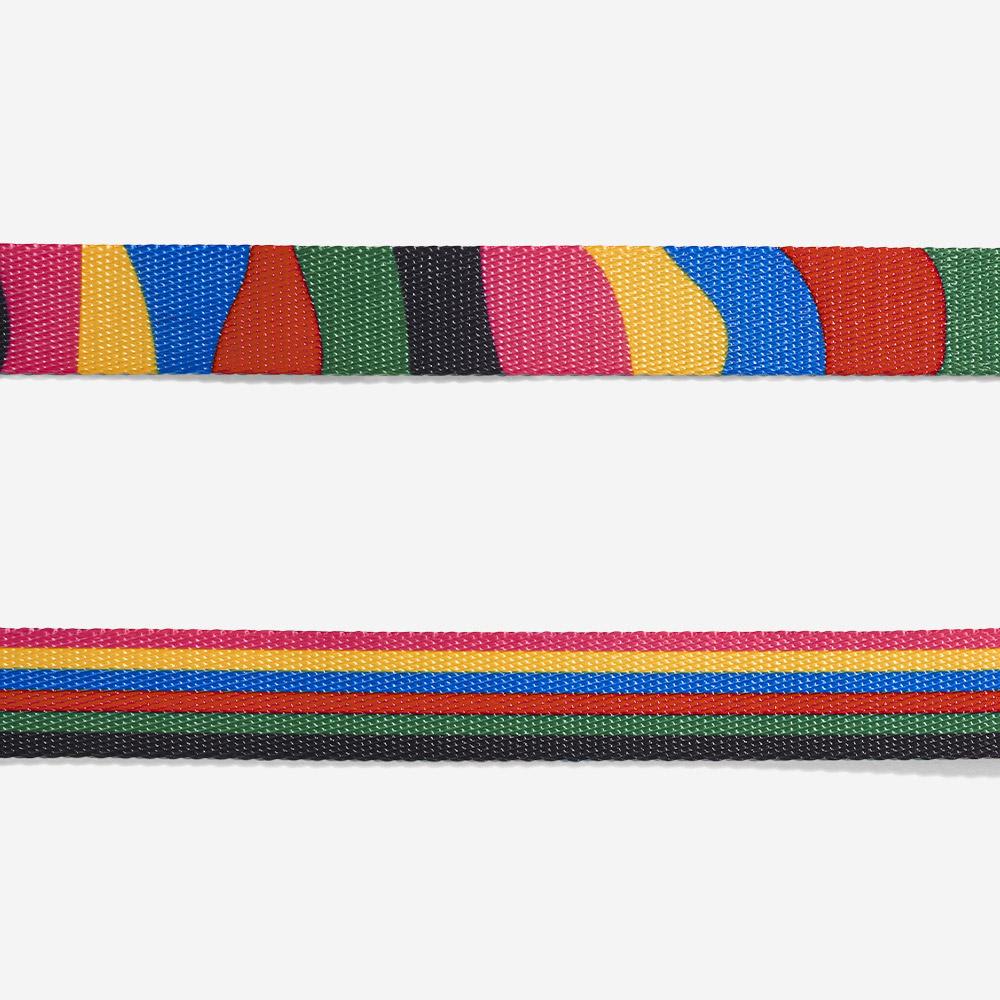 CORREA PERRO - ZEE DOG - CHROMA3