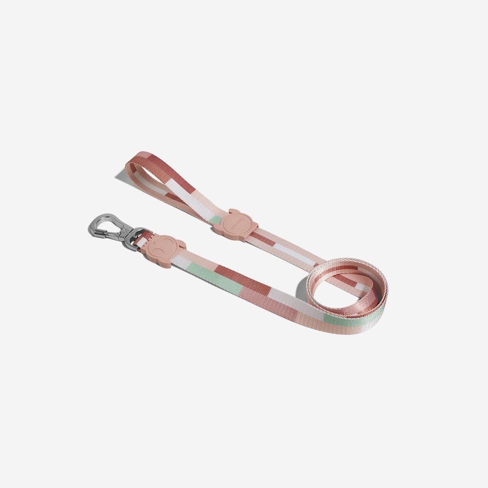 CORREA PERRO - ZEE DOG - LEASH LAGUNA1