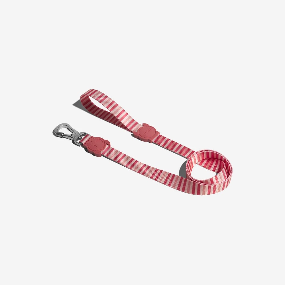 CORREA PERRO - ZEE DOG - PEPPERMINT LEASH4