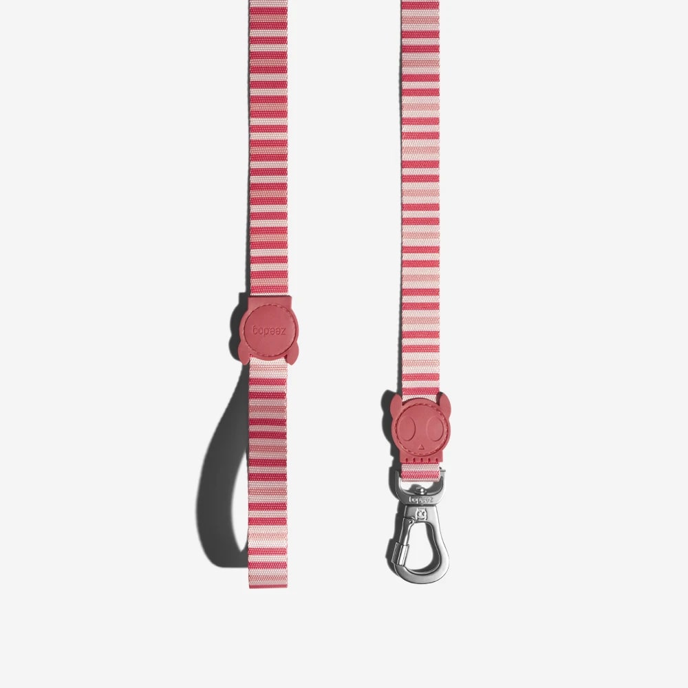 CORREA PERRO - ZEE DOG - PEPPERMINT LEASH2