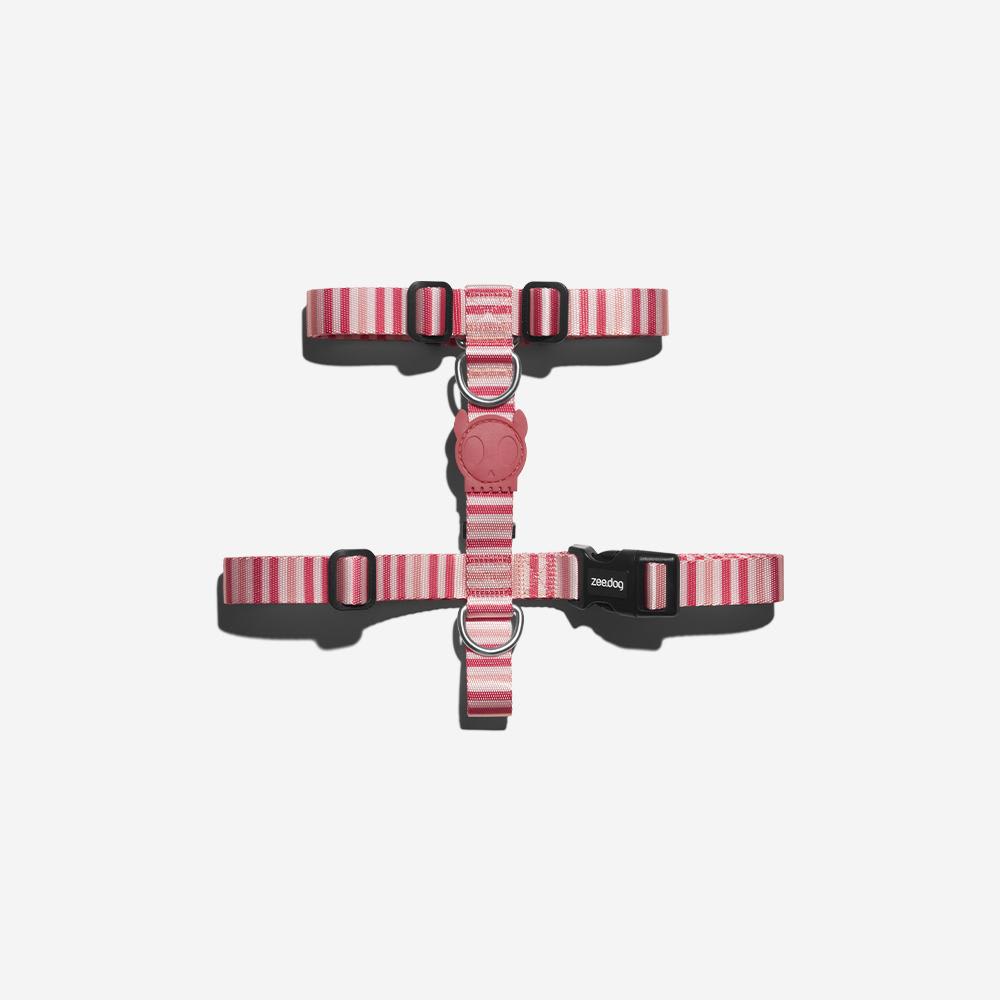ARNES PERRO - ZEE DOG - PEPPERMINT H HARNESS 3