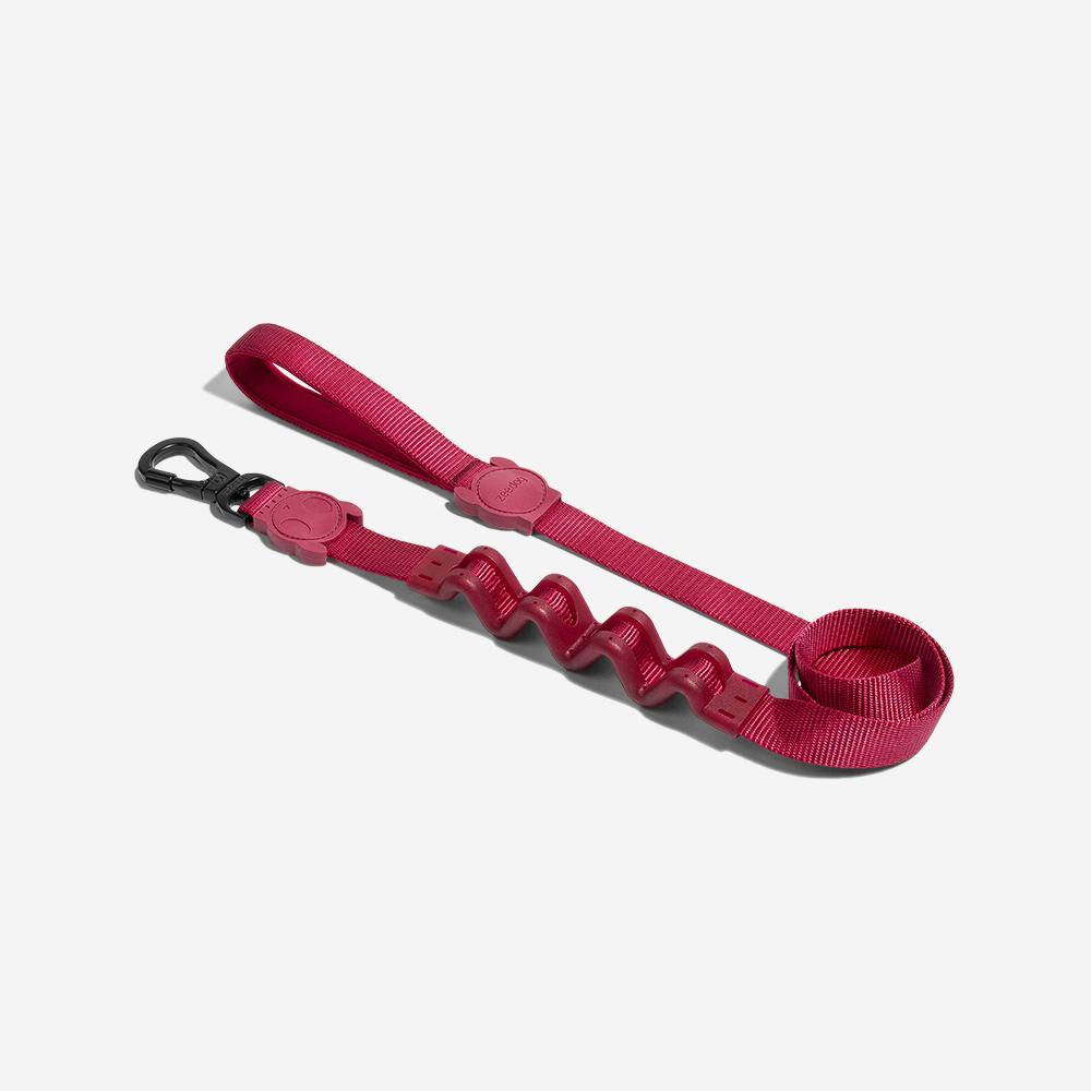 CORREA PERRO - ZEE DOG - BORDEAU RUFF LEASH5
