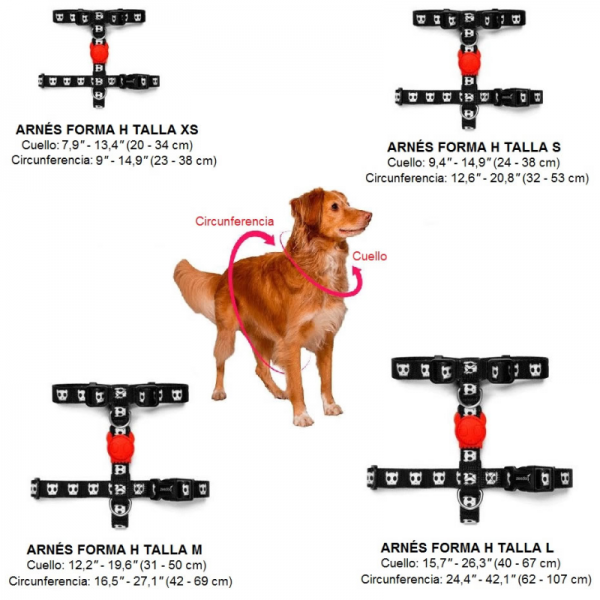 Zee.dog Arnes H-harness Ella Zeedog M Para Perro Mundozoo Zee.dog Arnes H-harness Ella Zeedog M Para Perro Mundozoo