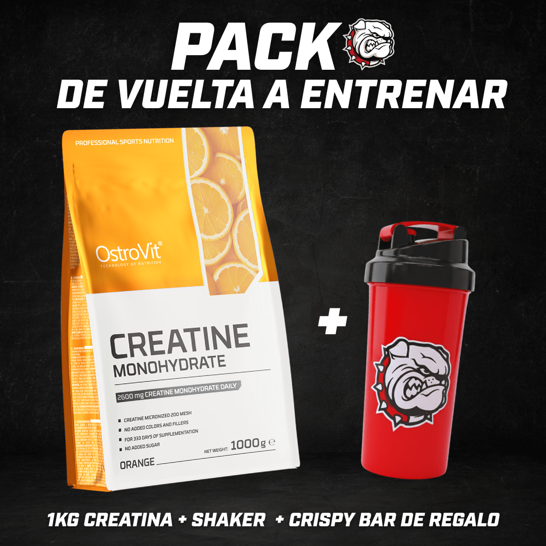 PACK DE VUELTA A ENTRENAR - ORANGE1