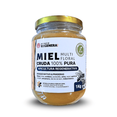 MIEL de APICULTURA REGENERATIVA - 1Kg - Escuela de Apicultura Natural