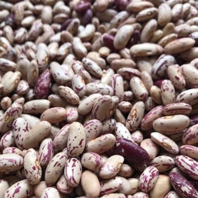 POROTO HALLADO Orgánico - 1 Kg - El Manzano