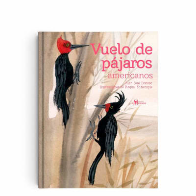 VUELO de PÁJAROS AMERICANOS