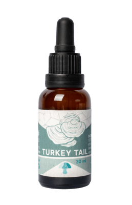 TINTURA de COLA de PAVO (turkey tail) - 30mL