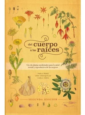 DEL CUERPO a las RAÍCES