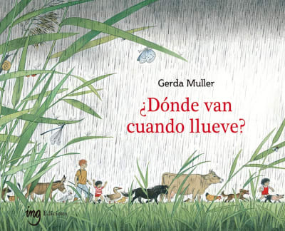 DÓNDE VAN CUANDO LLUEVE?