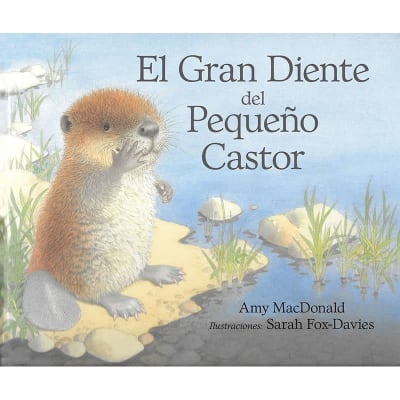 El GRAN DIENTE del PEQUEÑO CASTOR