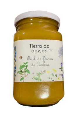 MIEL de FLORES de PRADERA - 500GR