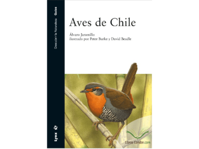 AVES de CHILE (Álvaro Jaramillo)