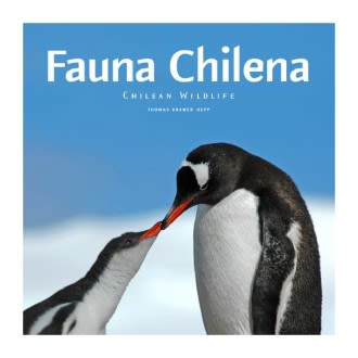 FAUNA CHILENA