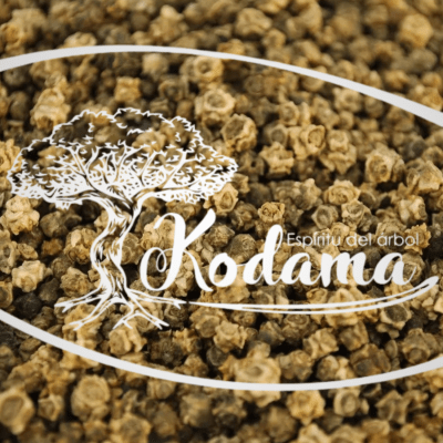 SEMILLAS - ACELGA - Kodama