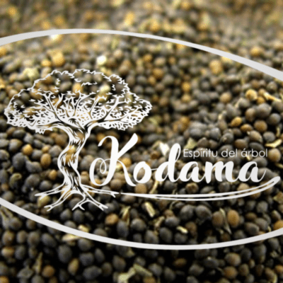 SEMILLAS - ALBAHACA - Kodama