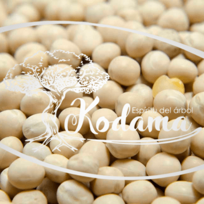 SEMILLAS  ARVEJA BLANCA