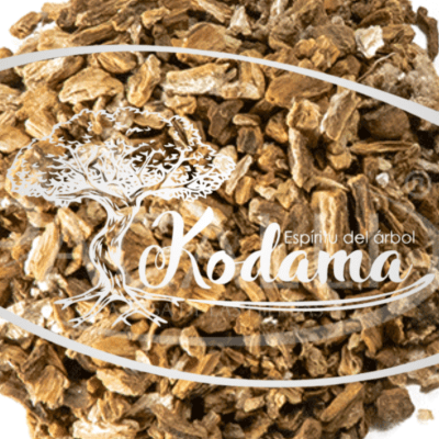 SEMILLAS  BARDANA