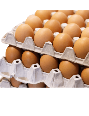 HUEVOS LIBRES - 100 UND - Ecoterra