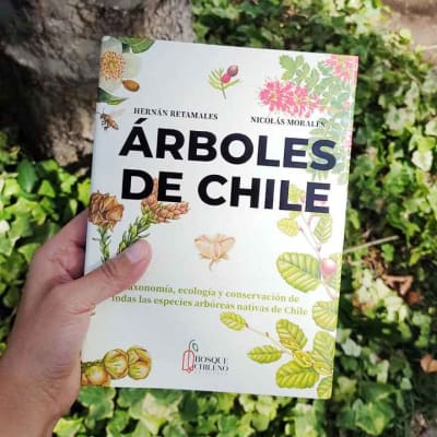 ÁRBOLES DE CHILE