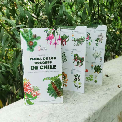 GUÍA PLEGABLE FLORA DE LOS BOSQUES DE CHILE