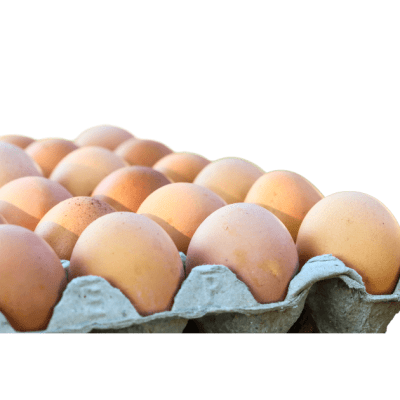 HUEVOS LIBRES - 18 UND -