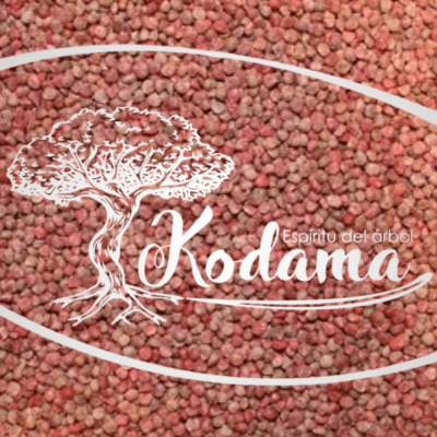 SEMILLAS - ESPINACA ROJA - Kodama