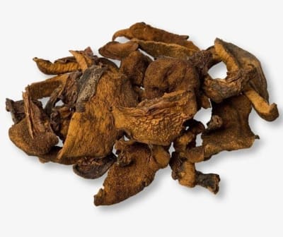 HONGO DE PINO DESHIDRATADO - 200gr. - La Bella