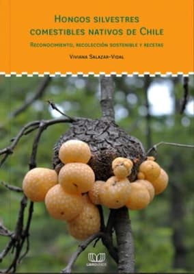 HONGOS SILVESTRES COMESTIBLES NATIVOS DE CHILE