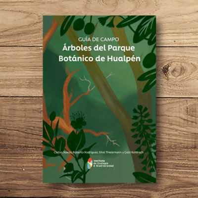 Árboles del parque botánico Hualpén