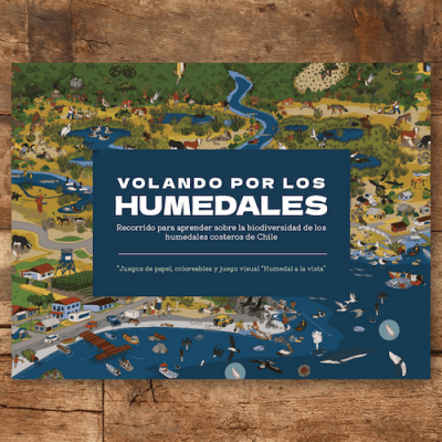Volando por los humedales