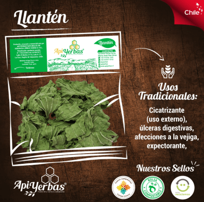 LLANTEN - 15g - APIYERBAS