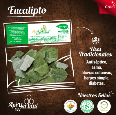 EUCALIPTO - 15g - Apiyerbas