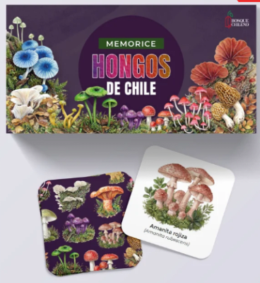 MEMORICE HONGOS DE CHILE