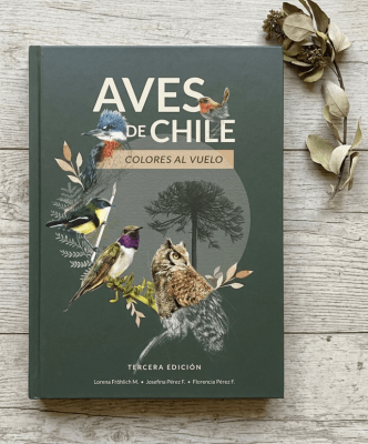 AVES DE CHILE: COLORES AL VUELO