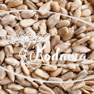 SEMILLAS  MARAVILLA MULTIFLOR