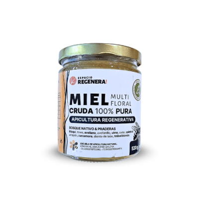 MIEL de APICULTURA REGENERATIVA - 520g - Escuela de Apicultura Natural