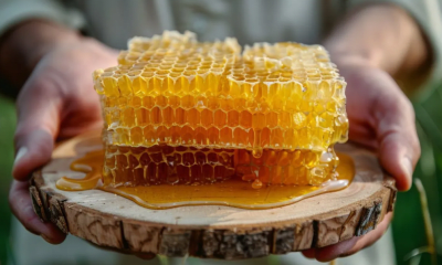 MIEL EN PANAL - Frasco 300g -