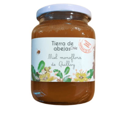 MIEL de QUILLAY - 1000g - Tierra de Abejas