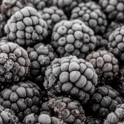 MORONES - Agroecologicos -  Congelados - 1 Kg - Sabores de Nuestra Tierra