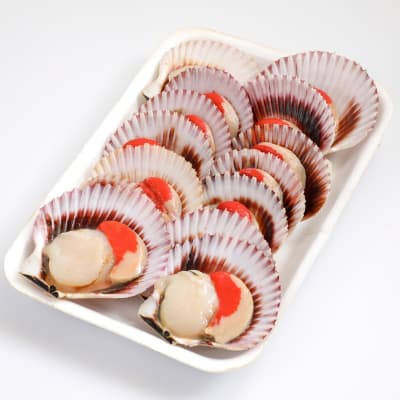 OSTIONES Media Concha - 10 un. - Tres Peces