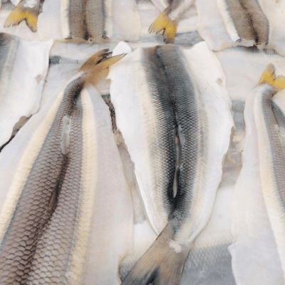 PEJERREY de Pesca Sustentable - Filete sin espinas x Kilo - Tres Peces