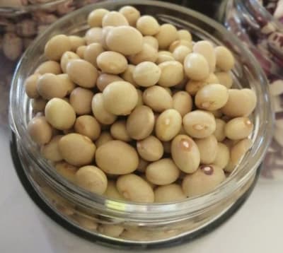 POROTO MANTEQUILLA ORGANICO - 1 Kg - Lago Budi