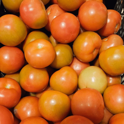 TOMATES LIBRES DE QUÍMICOS - x KILO