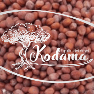 SEMILLAS  RABANITO