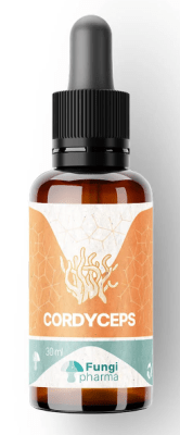 CORDYCEPS MILITARIS - 30 ML - Gotas - Fungi Pharma