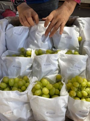 UVAS sin semilla orgánicas de Valle del Elqui - 1Kg