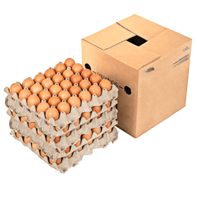 HUEVOS LIBRES - 180 UND - Ecoterra