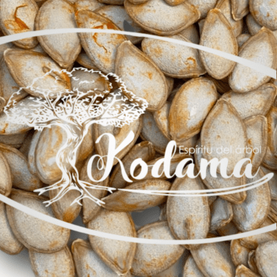 SEMILLAS  ZAPALLO BUTTERNUT