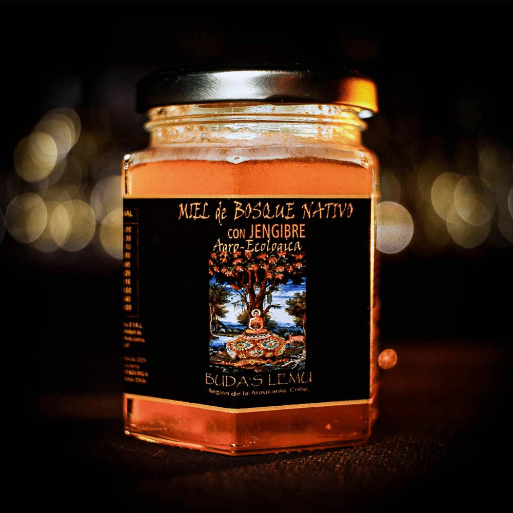 MIEL BUDASLEMU VARIEDADES 450GR2